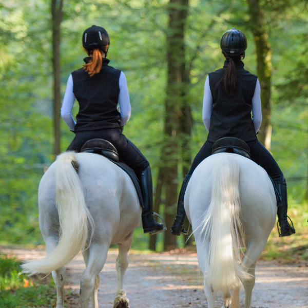 Two horses riding together