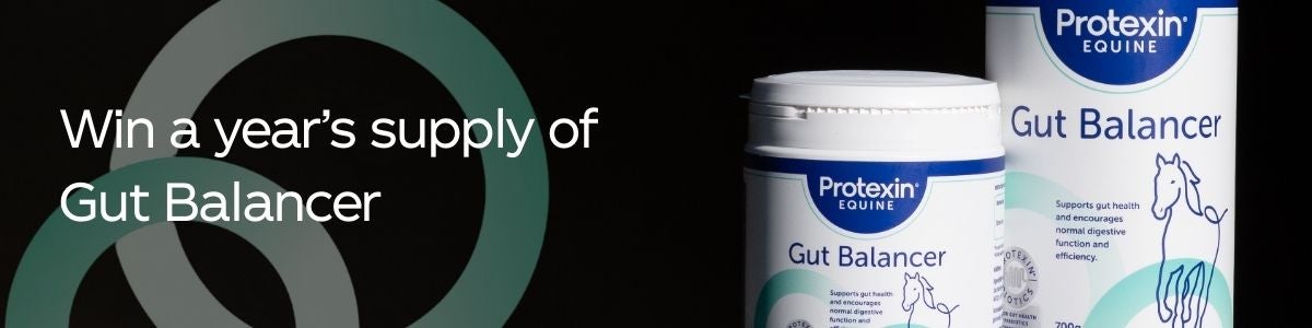Be in with a chance of winning a year’s supply of Protexin Equine Gut Balancer for your horse!
