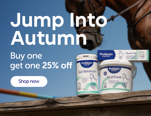 Jump into autumn, buy on get one 25% OFF. shop noe