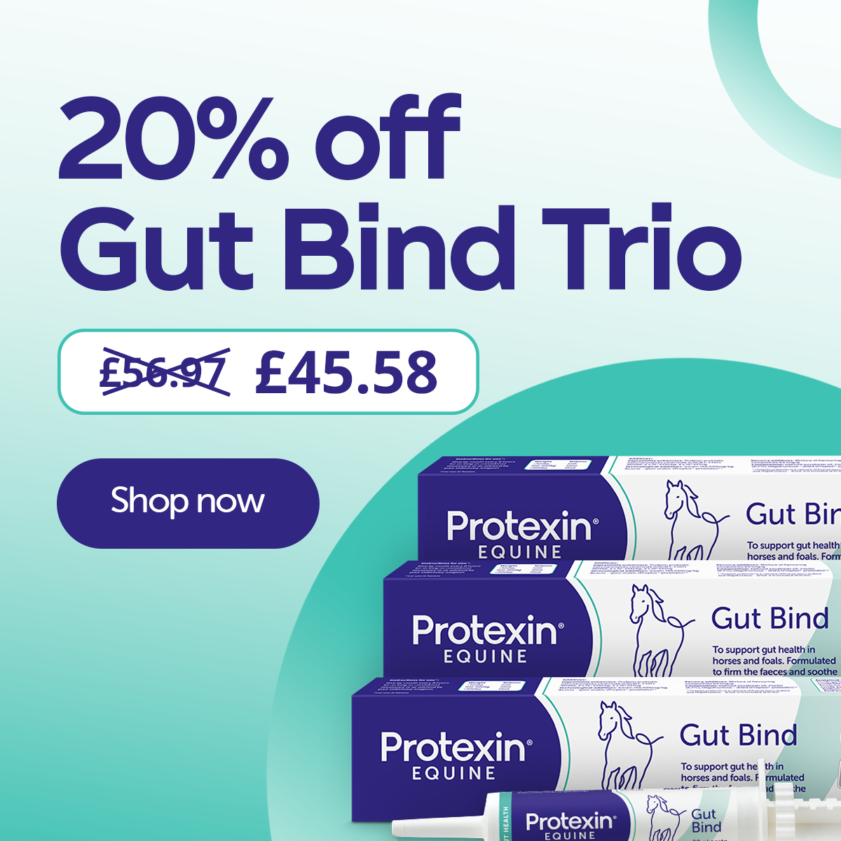 20% OFF Gut Bind Trio