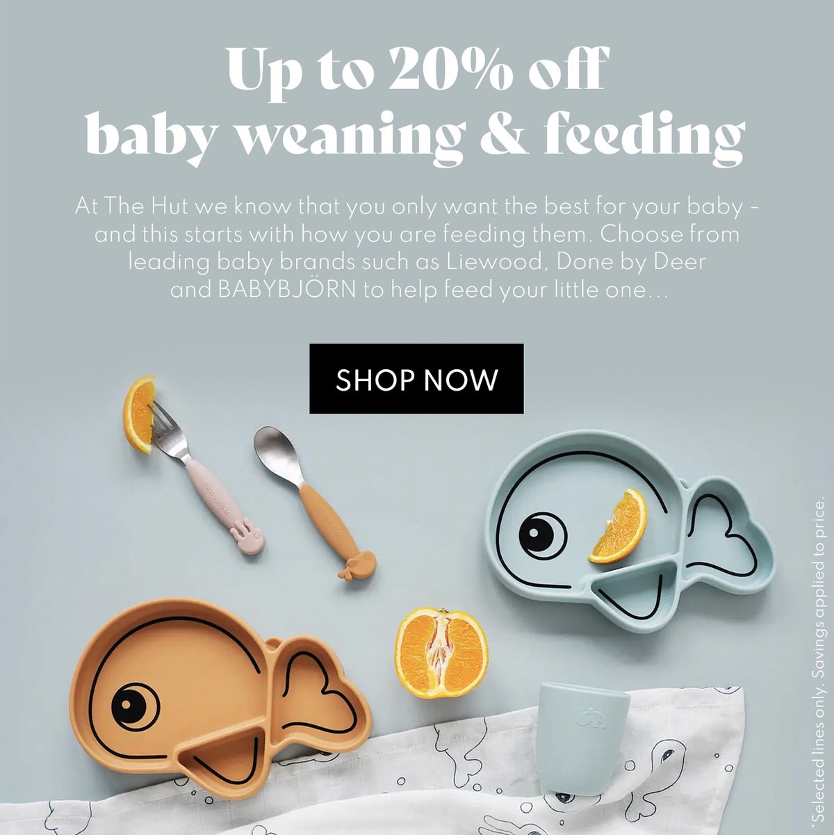 Up to 20% off baby weaning and feeding