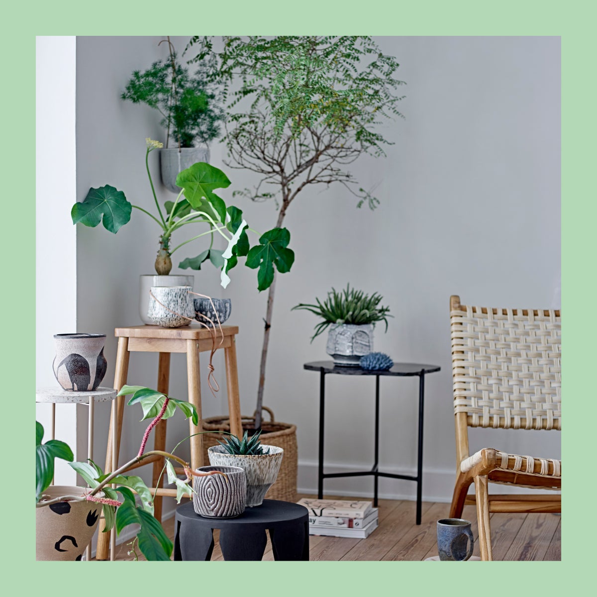 The conscious shopper