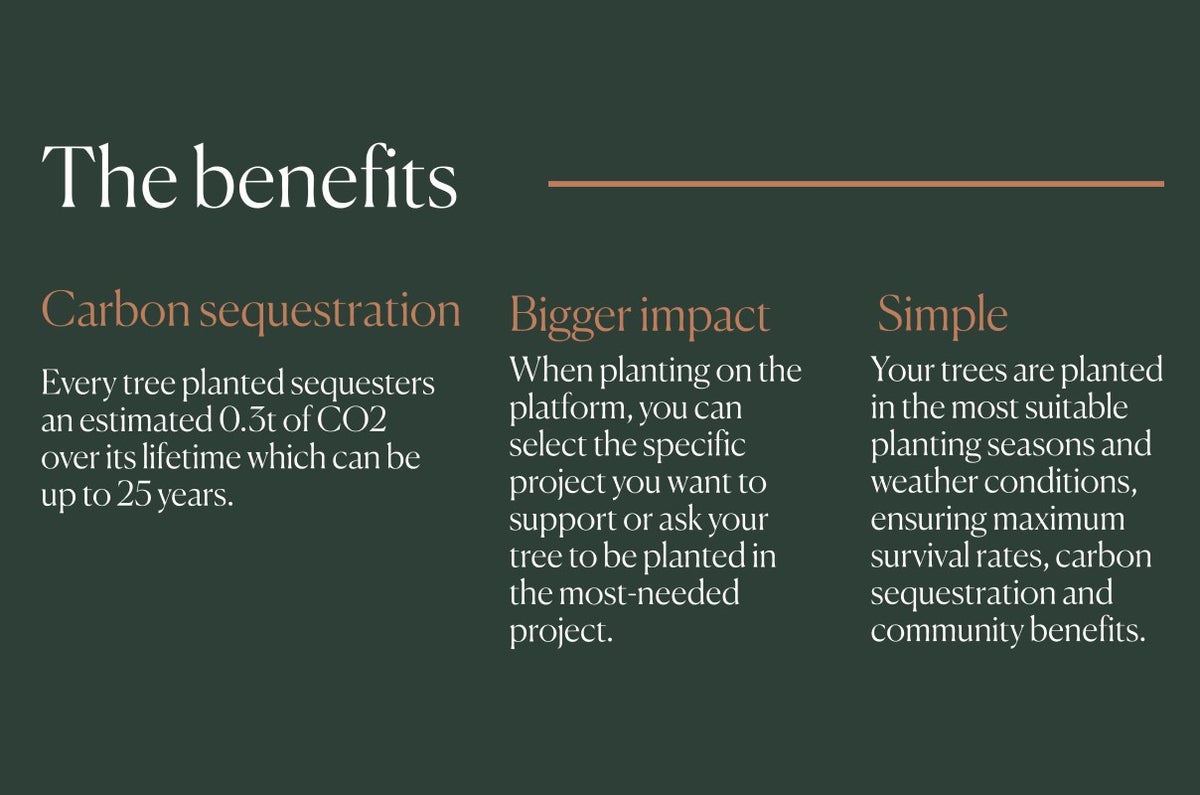 Introducing More Trees THG - benefits