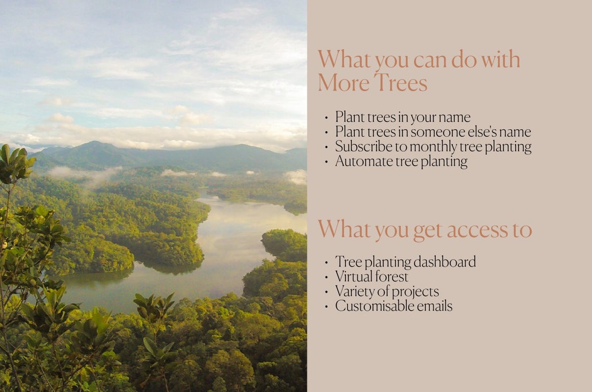 Introducing More Trees THG - what you can do with more trees