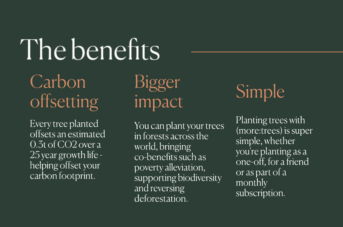 Introducing (more:trees) THG - benefits