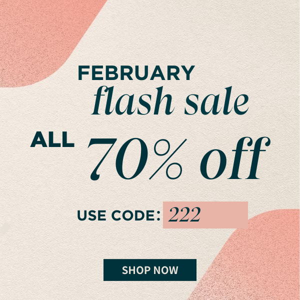 February Flash Sale Everything 70% off now.