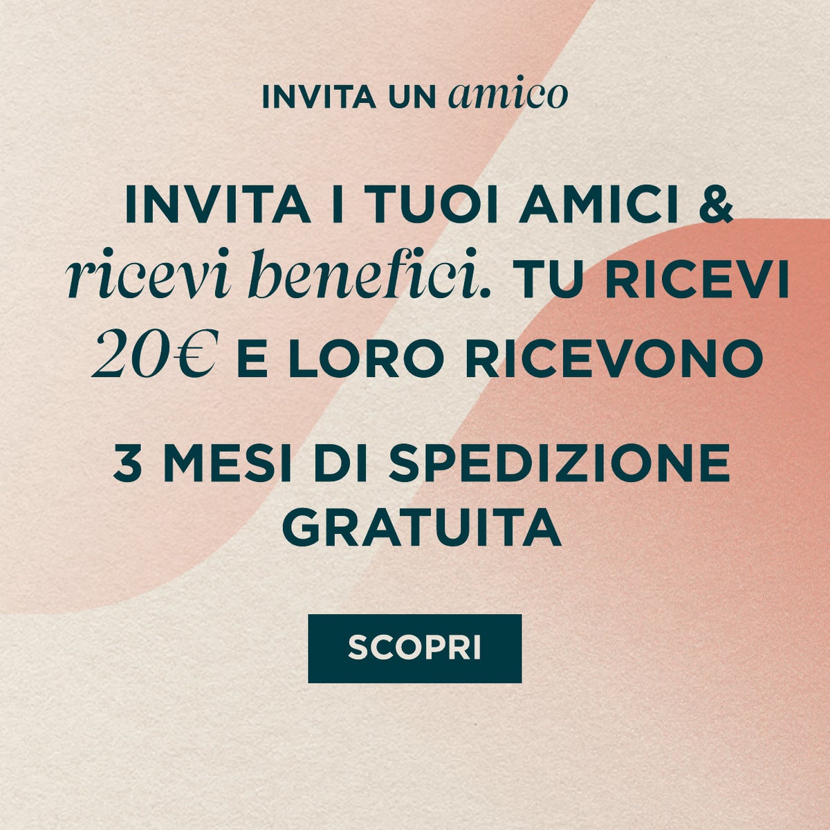 Programma di raccomandazione