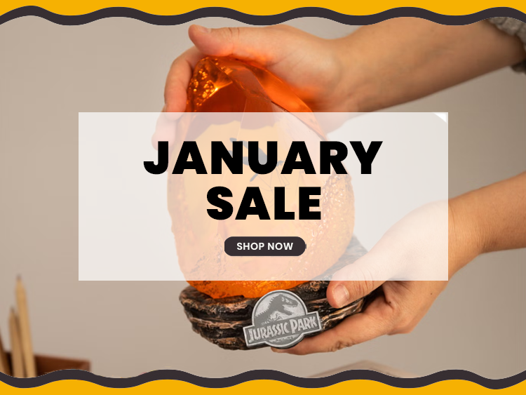 January Sale