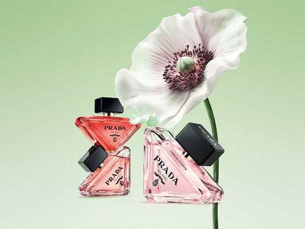 NOUVEAUTÉ PRADA