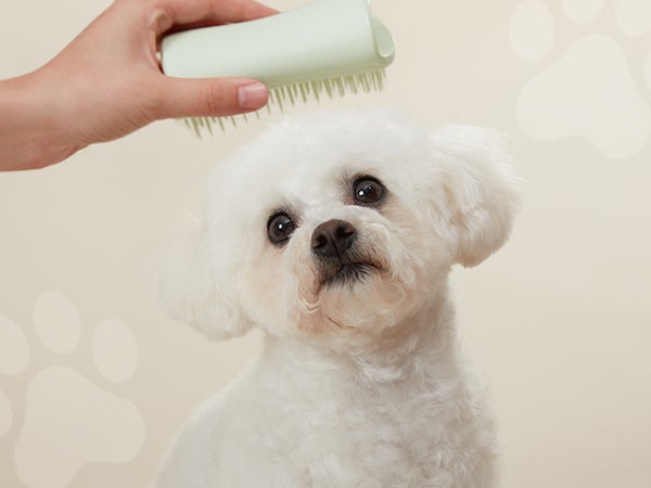Pets Page