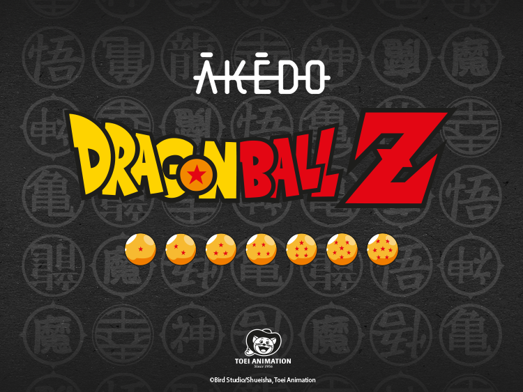 DRAGON BALL Z X AKEDO