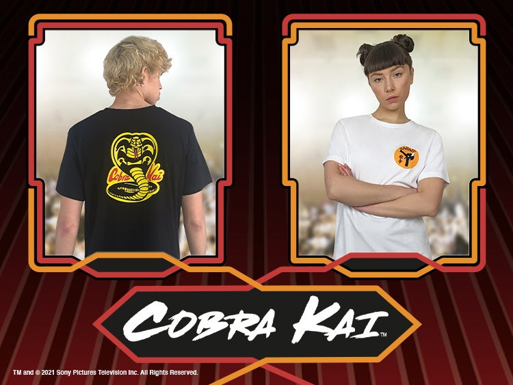 HERO x Cobra Kai Eagle Fang Karate Water Bottle - HERO Beverage Company