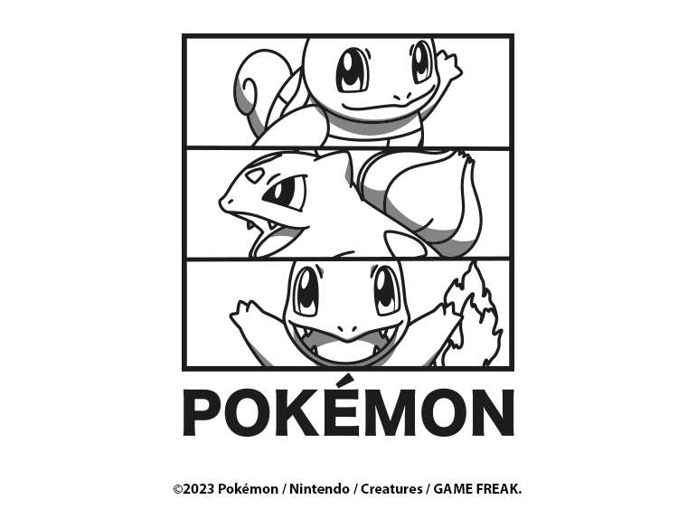 Pokemon Main Banner