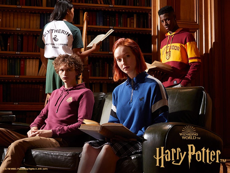 Harry Potter House Pride Collection