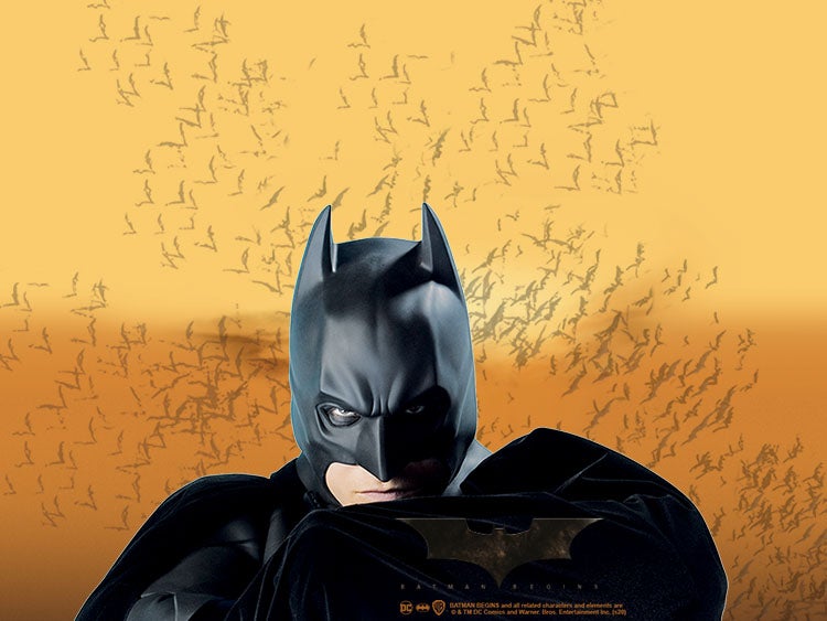 BATMAN BEGINS