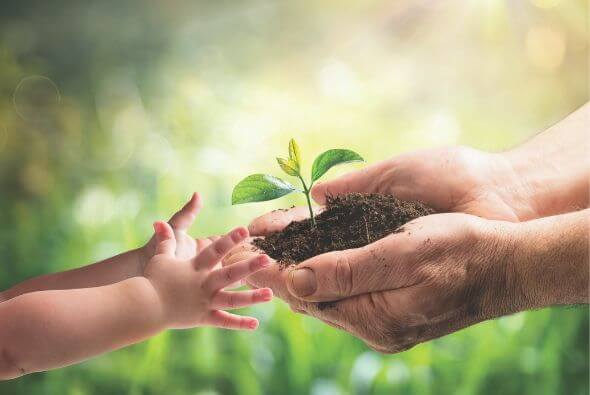 Mains d'un adulte et un enfant se touchent en s'échangeant une plante