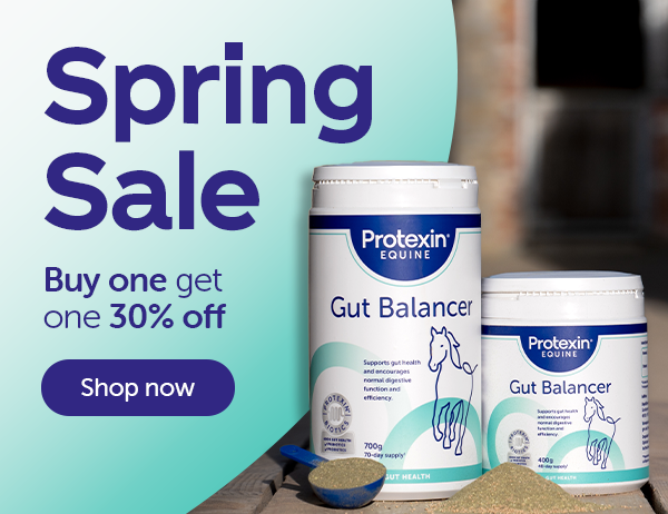 Spring Sale! Buy one Get one 30% off