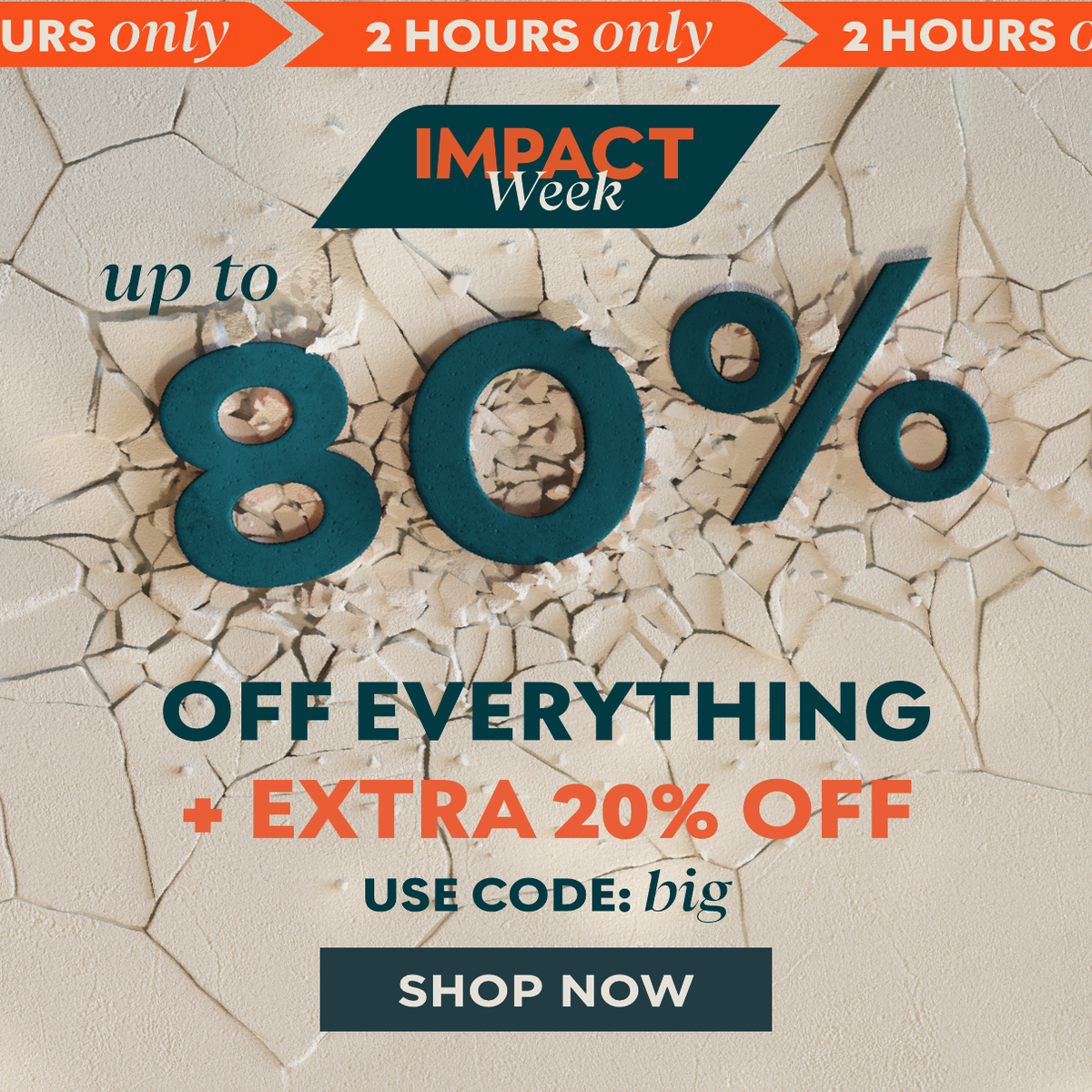 EXTRA 20% off our up to 80% off sale with code BIG. Hurry, 2 hours only.