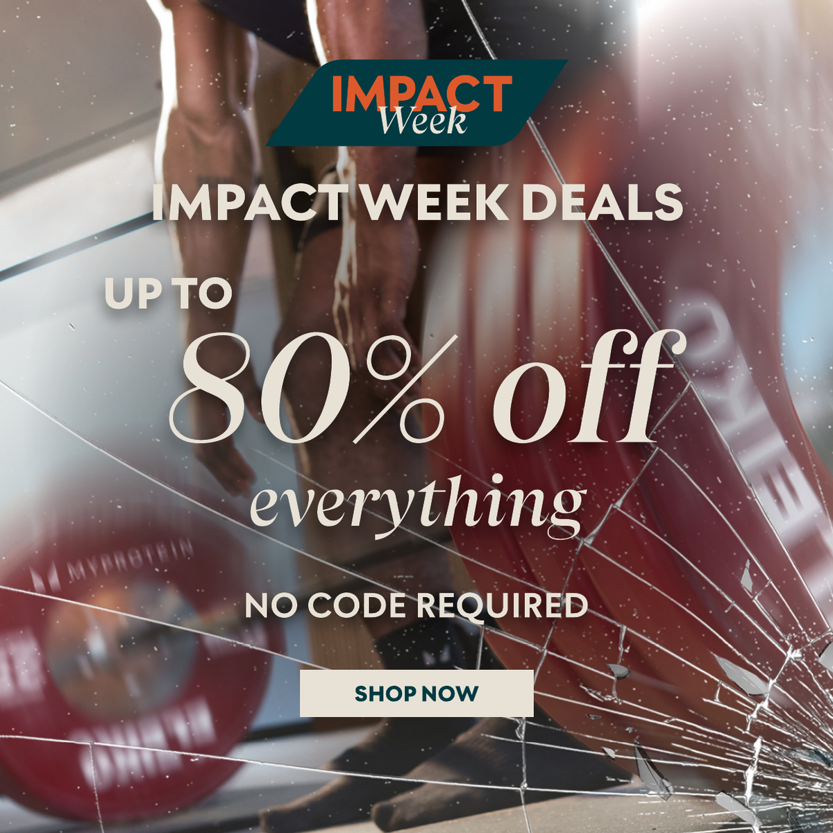 Up to 80% off everything. Shop Now.