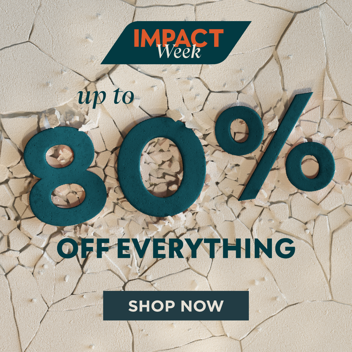 Up to 80% off everything. Shop Now.
