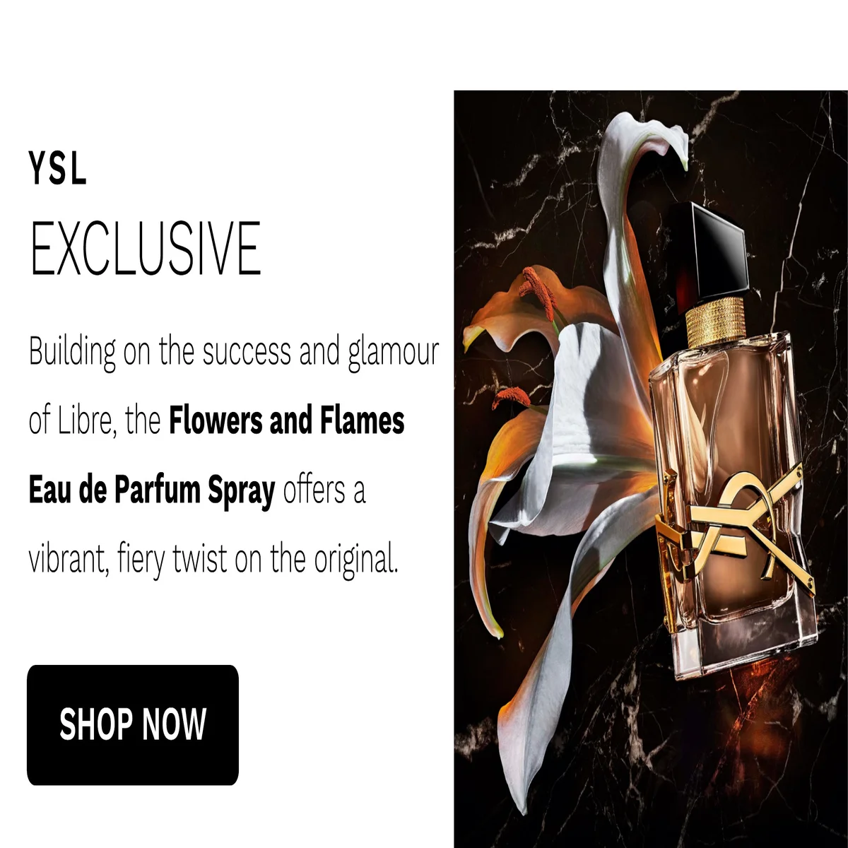 YSL