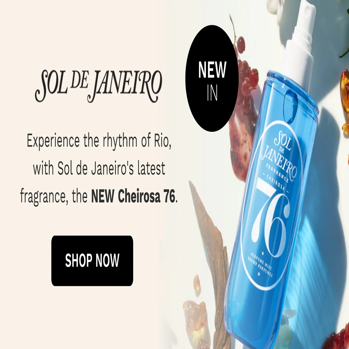 SOL DE JANEIRO