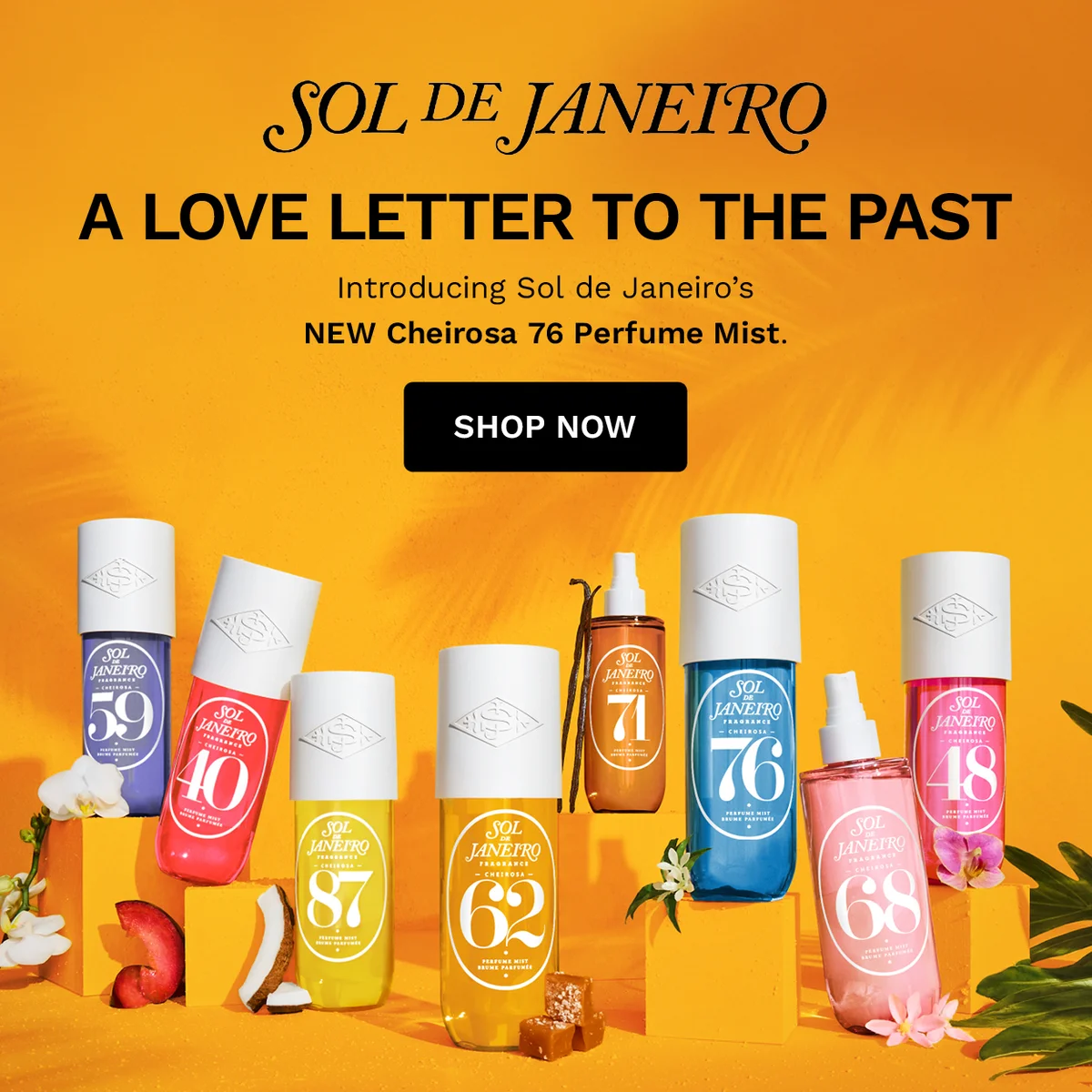 SOL DE JANEIRO