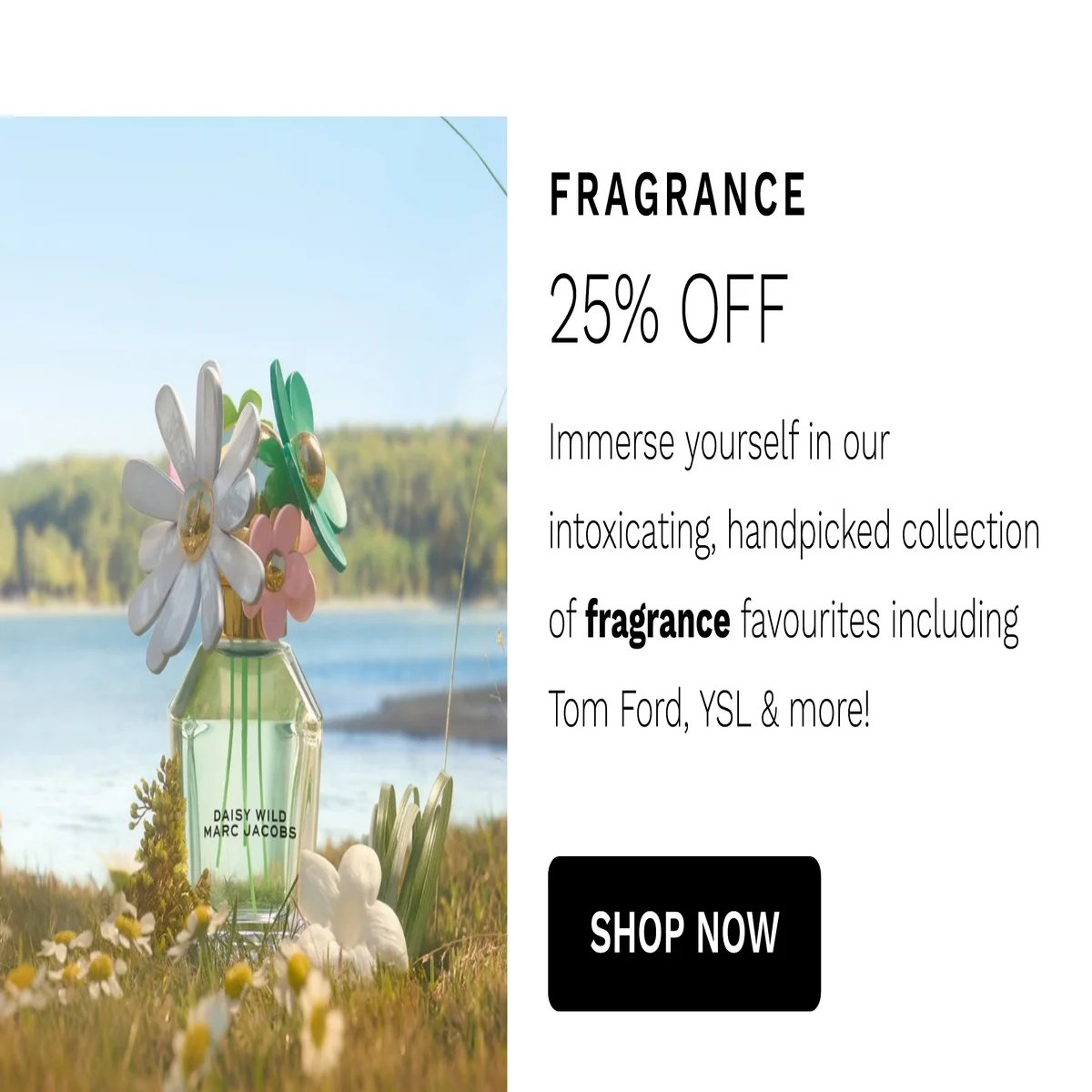 FRAGRANCE