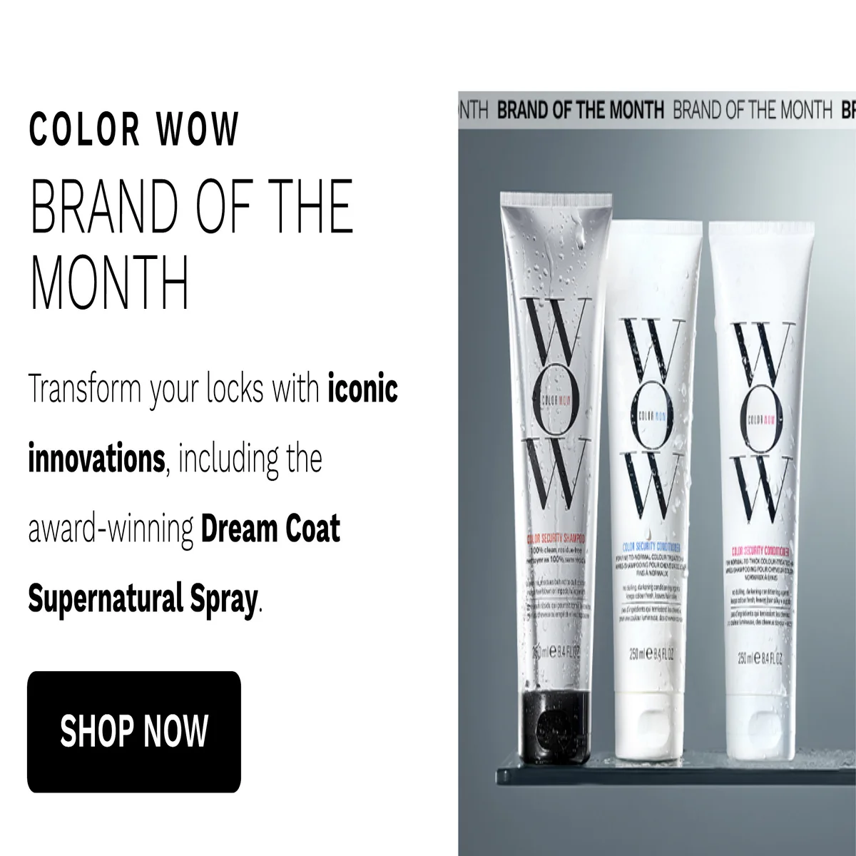 COLOR WOW 