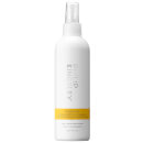 Philip Kingsley Styling Maximizer Root Boosting Spray 250ml