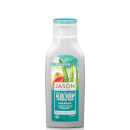 شامبو العناية بالشعر Aloe Vera 80% and Prickly Pear من JASON (473 مل)