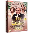 The Cedar Tree - Seizoen 3 - Compleet