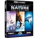 IMAX Nature - 4K Ultra HD