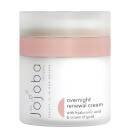 The Jojoba Company Face Intense Overnight Renewal Crème 50ml