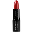أحمر شفاه من Antipodes بحجم 4 جرام - بلون Ruby Bay Rouge