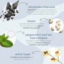 Briogeo Scalp Revival Charcoal Tea Tree Scalp Treatment (1 oz.)