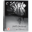 Ivan's Childhood (1962) - The Criterion Collection