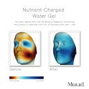 Murad Nutrient-Charged Water Gel 1.7 oz