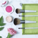 EcoTools On The Go Style Kit