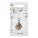 Harry Potter Hogwarts Crest Slider Charm - Silver
