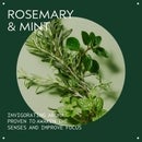 Aveda Rosemary Mint Weightless Conditioner 1000 ml