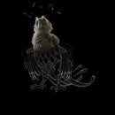 Fantastic Beasts Tribal Augurey Men's T-Shirt - Black