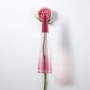 Issey Miyake L'Eau D'Issey Rose and Rose Eau de Parfum Intense 25ml
