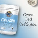 Polvere a base di peptidi di collagene da bovini nutriti con erba 560g