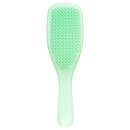 فرشاة الشعر لفك تشابك الشعر المبلل من Tangle Teezer لون مينت كارما