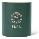 ESPA Winter Spice Candle 410g