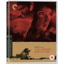 The Cranes are Flying - The Criterion Collection