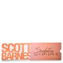 Scott Barnes Sculpting and Contour No. 1