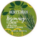 Burt’s Bees Lip Butter with Rosemary & Lemon