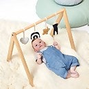 The Little Green Sheep Wooden Baby Play Gym and Charms Set - Rainbow Midnight